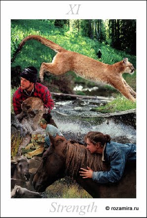 Nature Tarot by Jan Strube